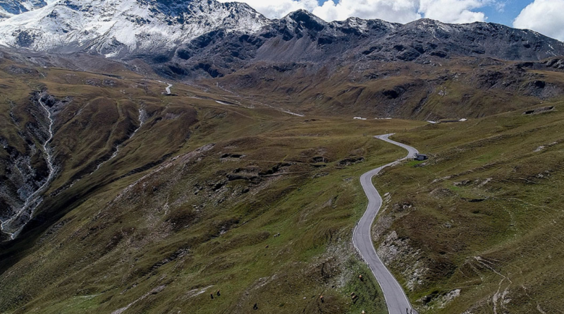 stelvio ciclismo dalita